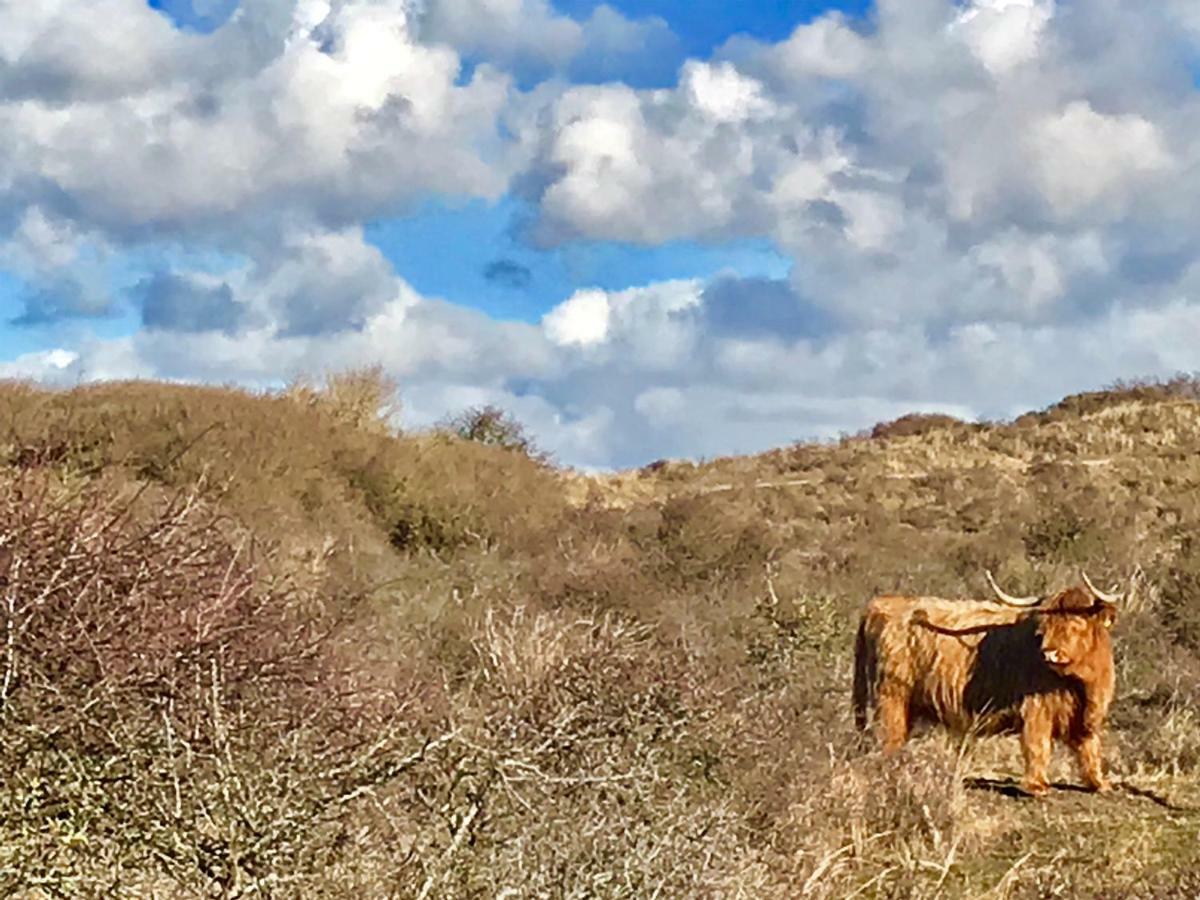 Ferienwohnung Achter de duinen Zandvoort Exterior foto